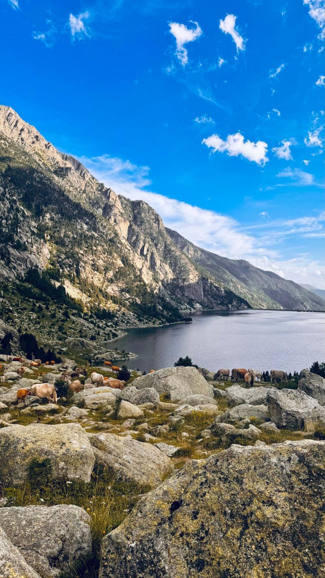 Hotel L'Auet Erill la Vall Εξωτερικό φωτογραφία